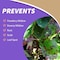 Bonide Products Bonide Bon-Neem II Organic 3 in 1 Garden Insect Spray Liquid 32 oz 025 - alternate 4